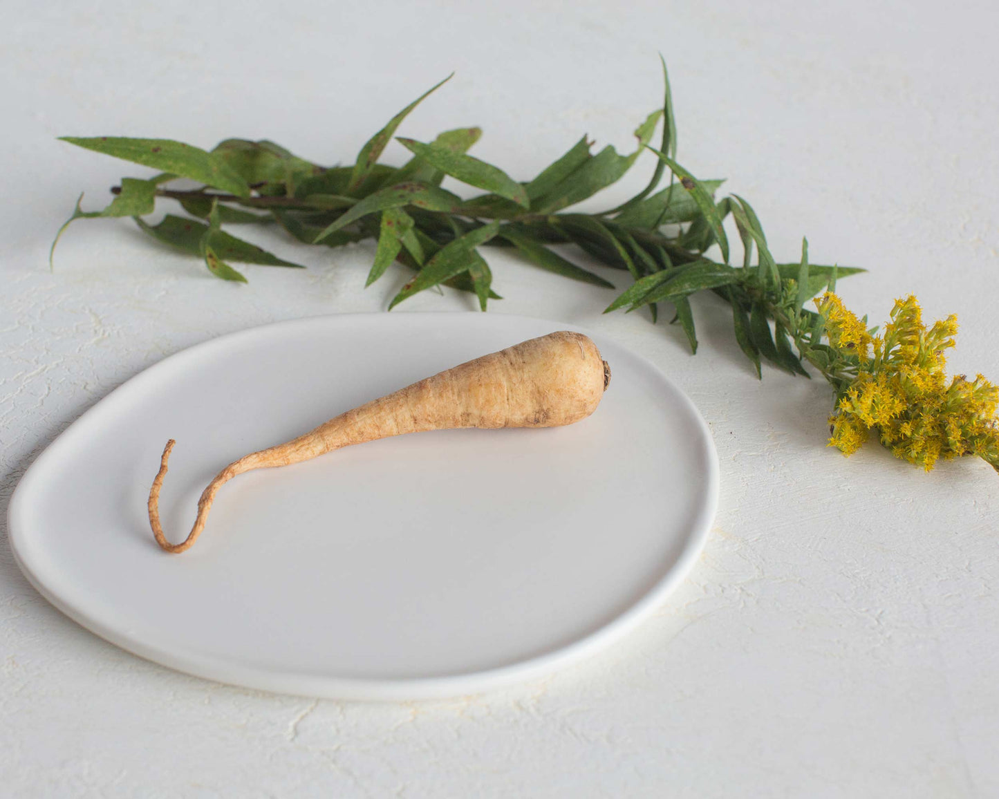 Ripple Salad Plate Plates Haand