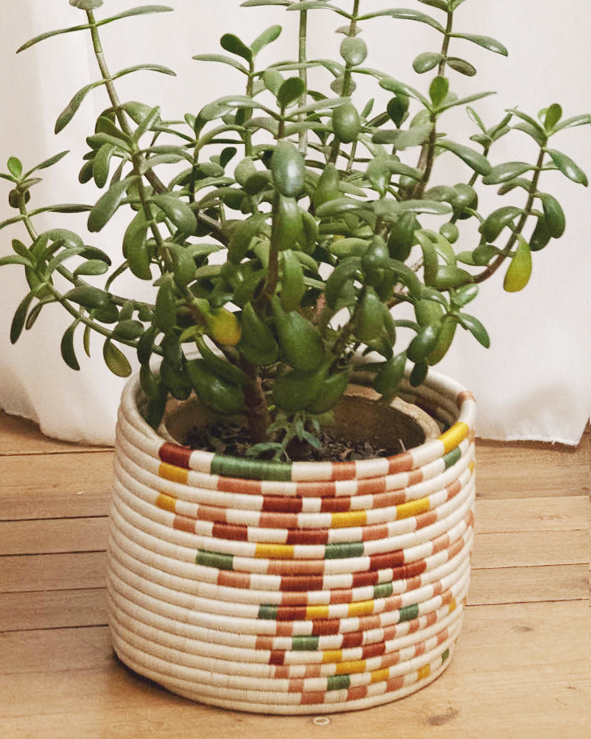 Guacamaya Storage Baskets Basket atacama home Medium