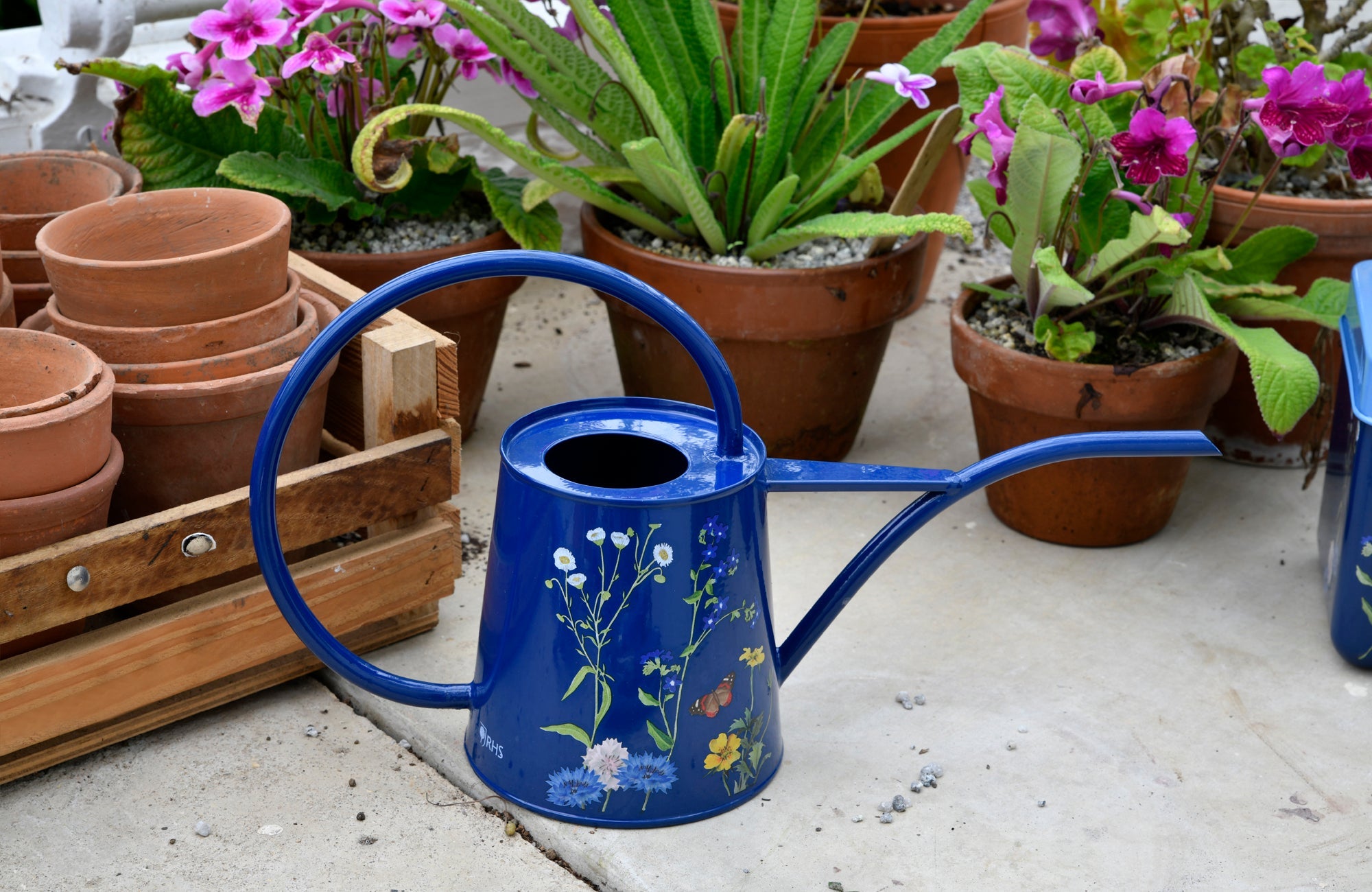 Burgon & Ball® British Meadow Indoor Watering Can