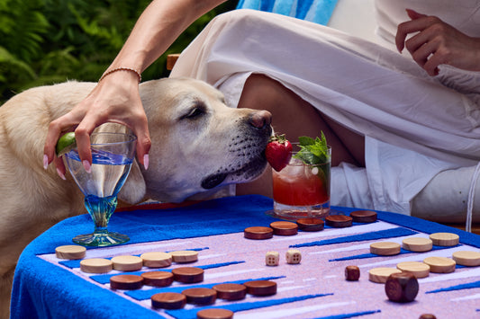 The Nantucket Beach Board - Backgammon Backgammon G. McGee