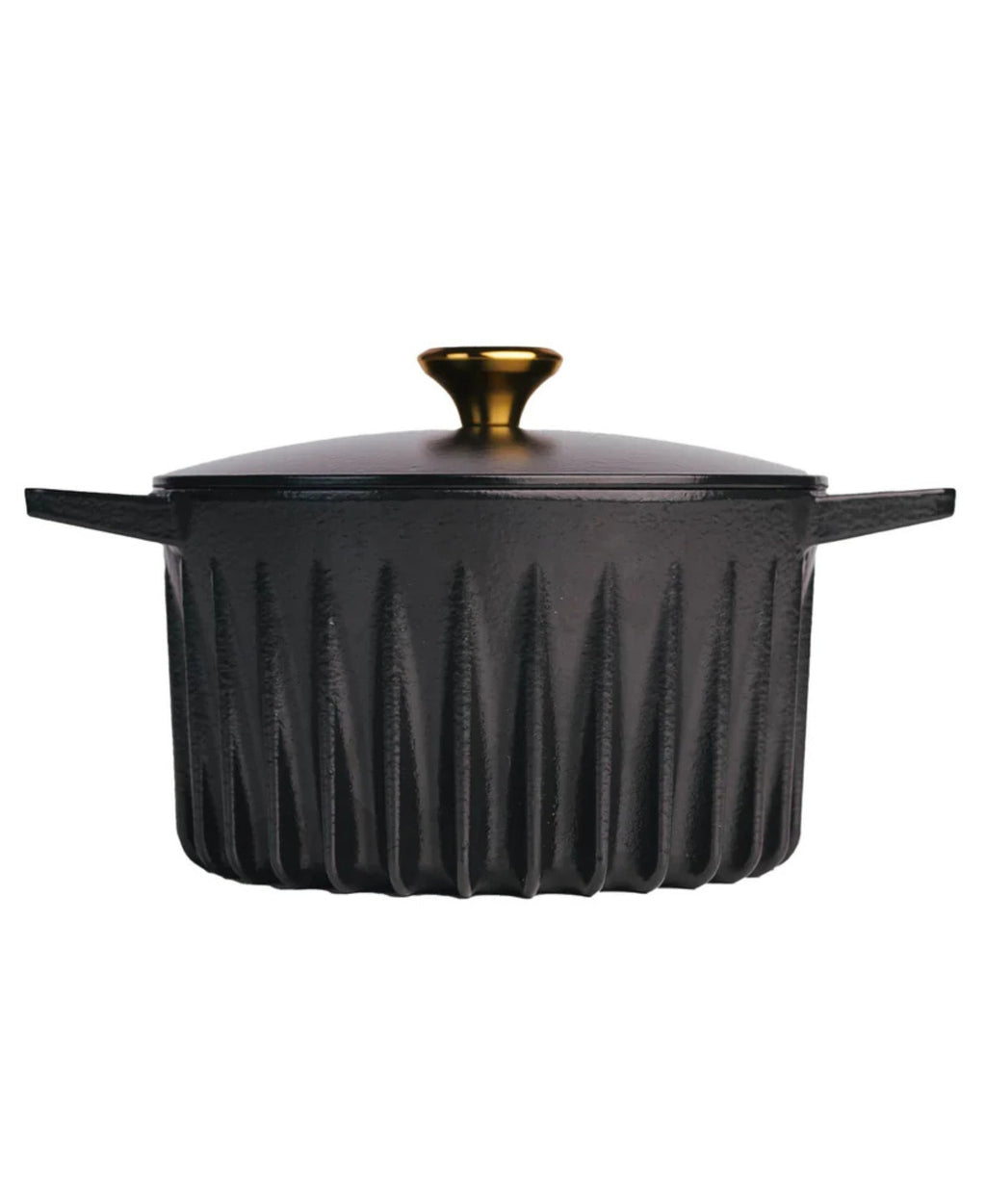 Enameled Cast Iron Dutch Oven