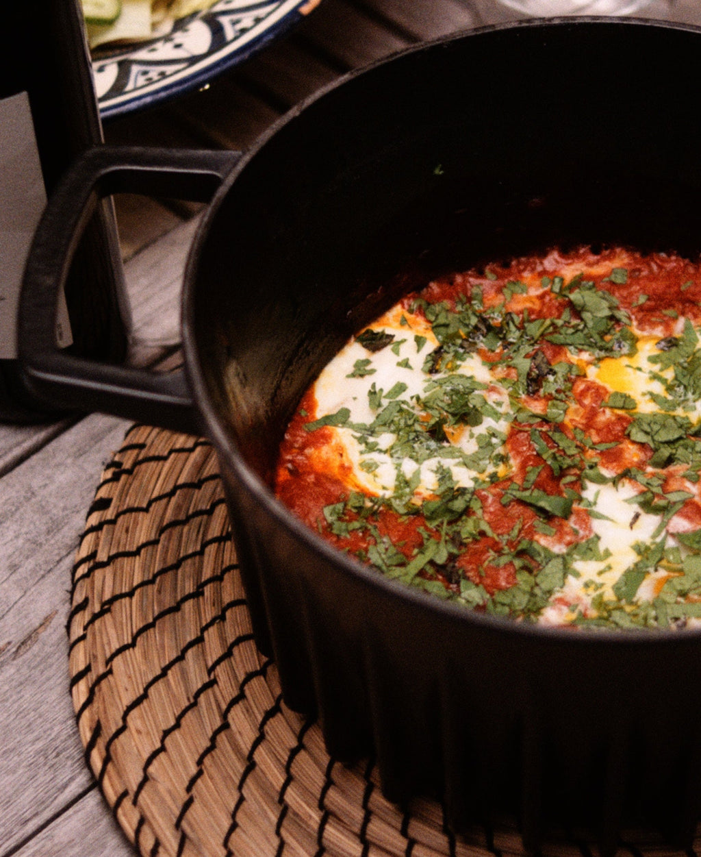 Enameled Cast Iron Dutch Oven