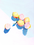 Lemon Study Art Print Art Prints Mai Autumn