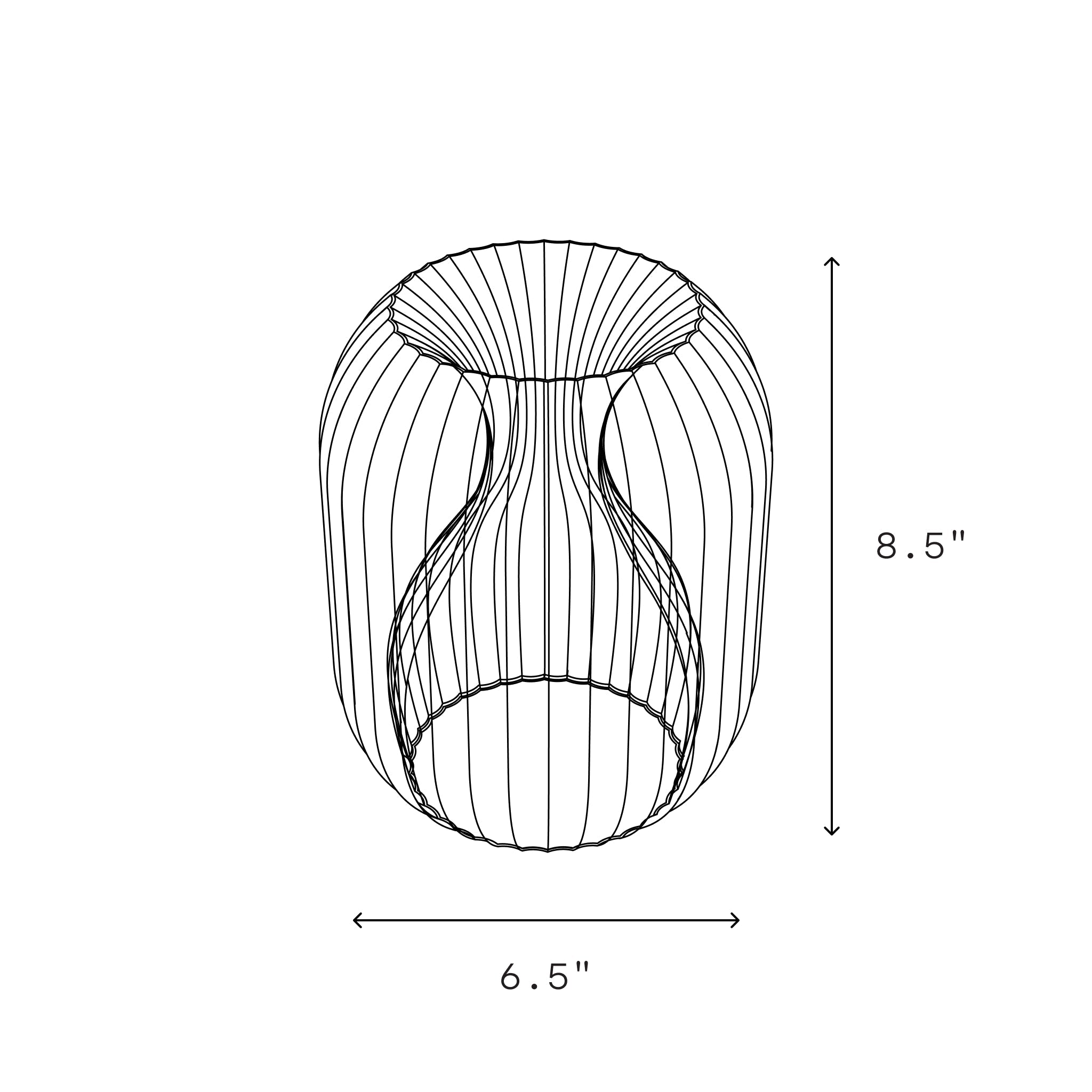 The Allium Lamp