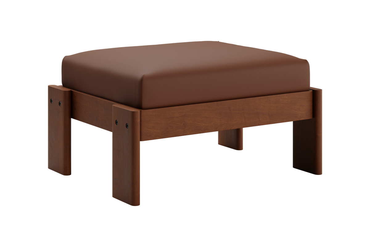 The Bacana Ottoman in Cactus Leather
