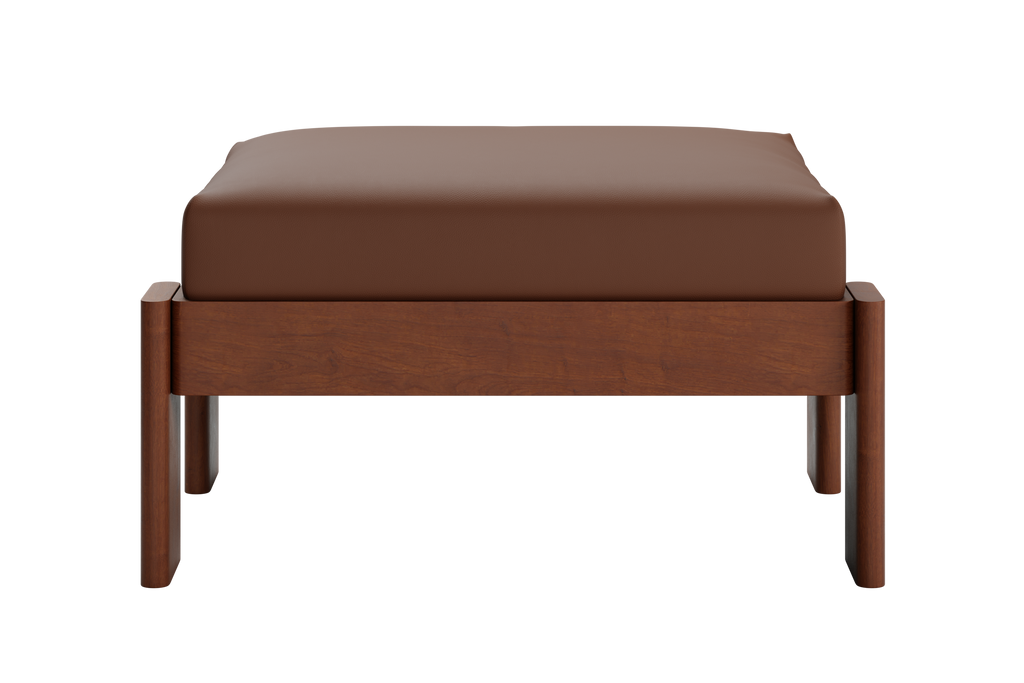 The Bacana Ottoman in Cactus Leather