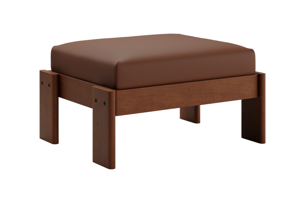 The Bacana Ottoman in Cactus Leather