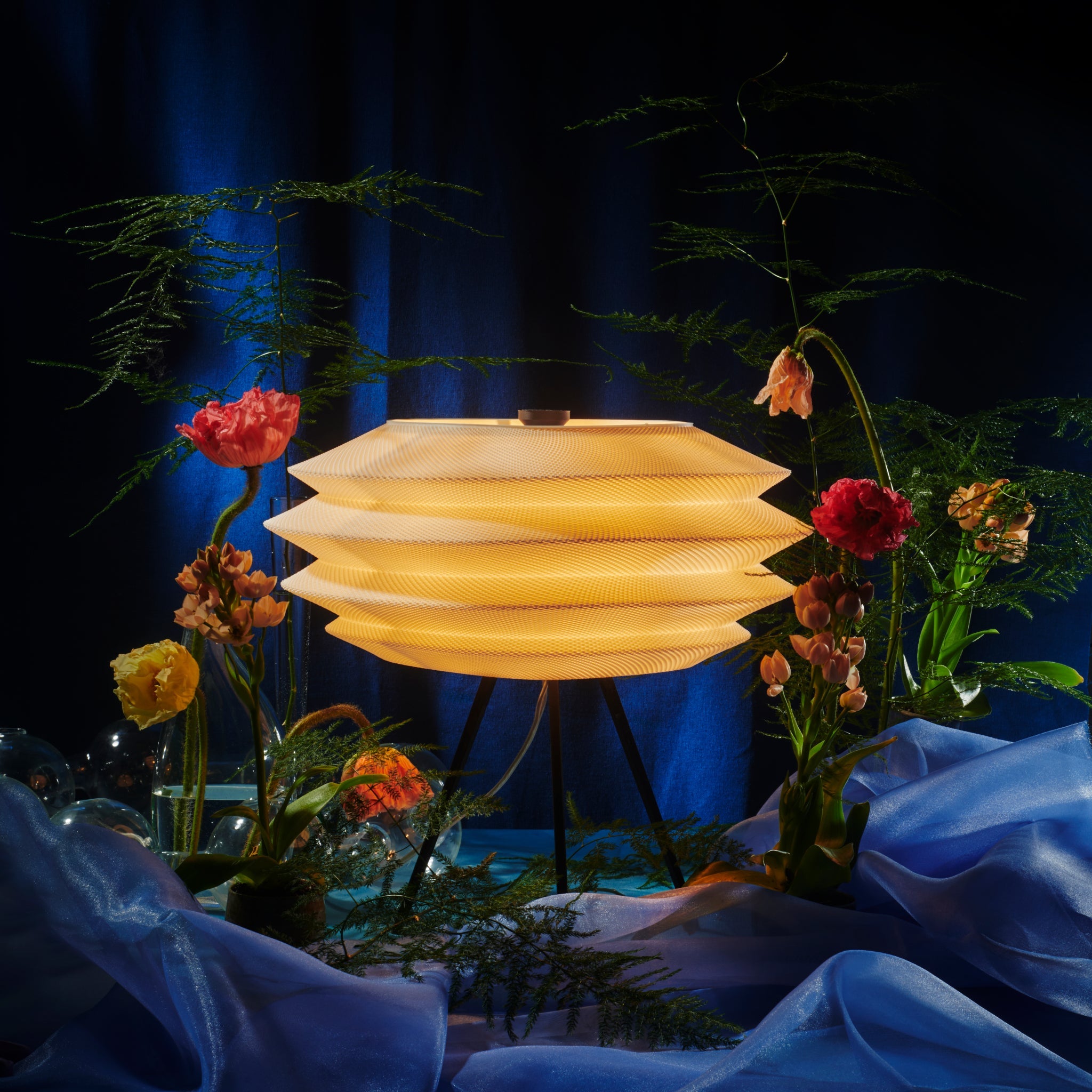 The CS.01 Arcas Lamp