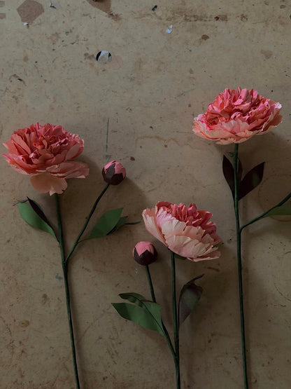 Chinese Peony Beeswax Paper Flower