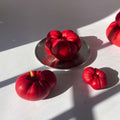 Heirloom Tomato Candles | 3 Pack Farmers Markets Scandles
