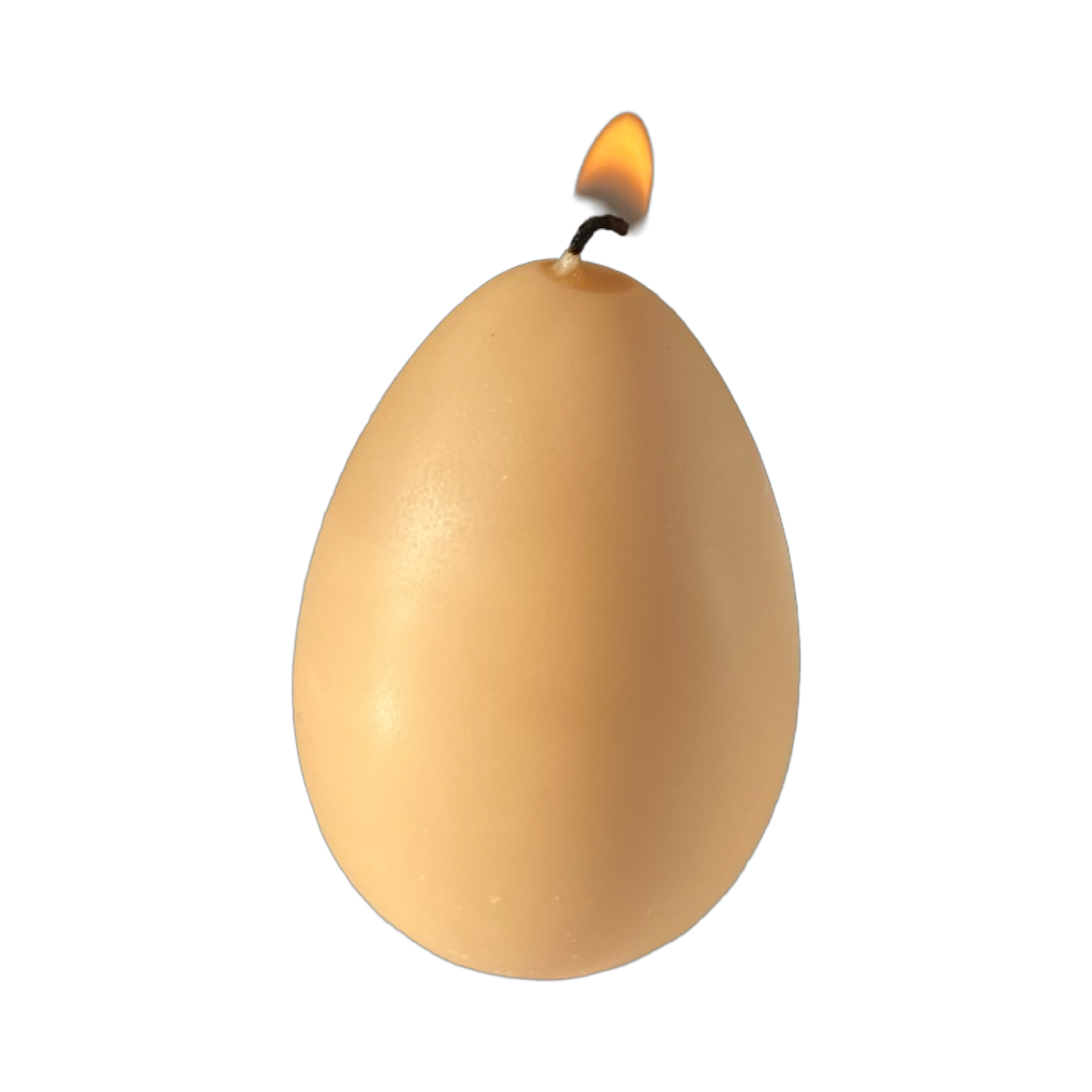 Egg Candle Set of 6 | Cinnamon & Vanilla Farmers Markets Scandles