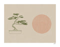Bonsai Print by Stephanie Browne