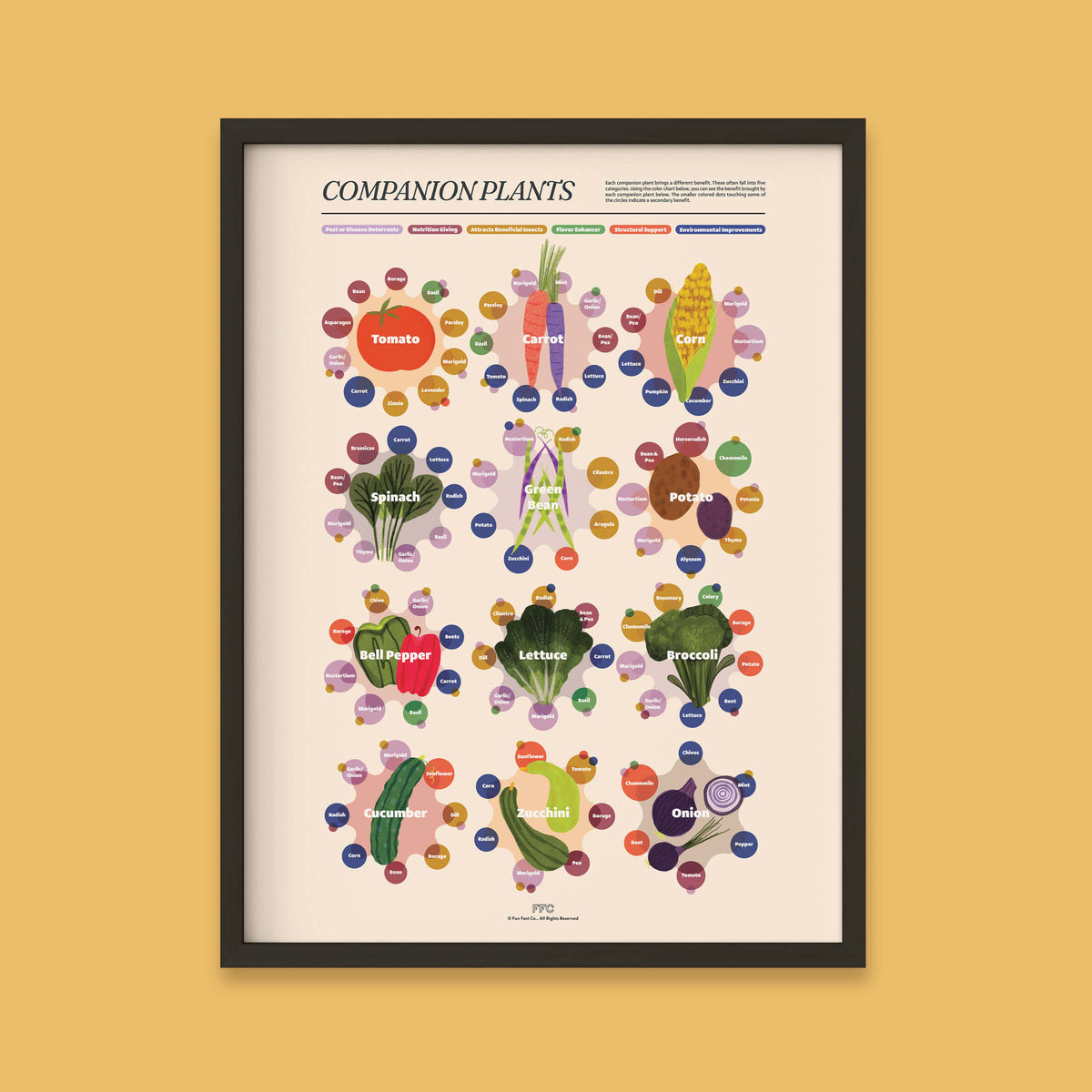 Companion Plants Giclée Print