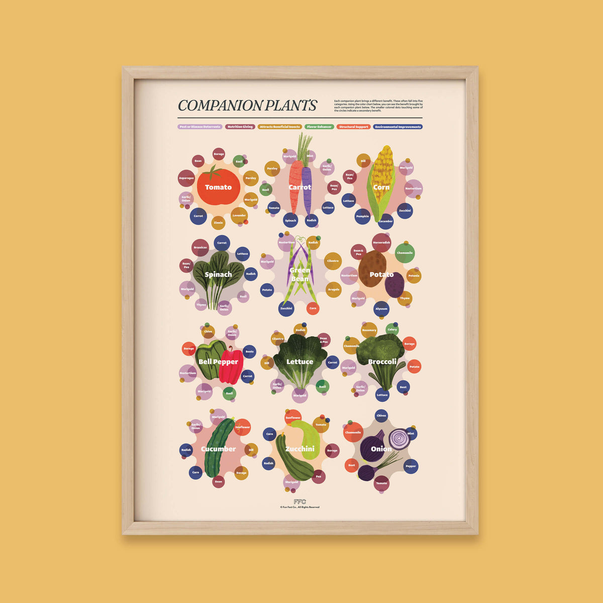 Companion Plants Giclée Print