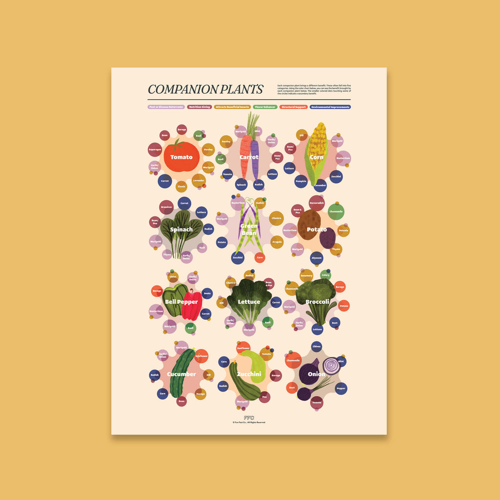 Companion Plants Giclée Print