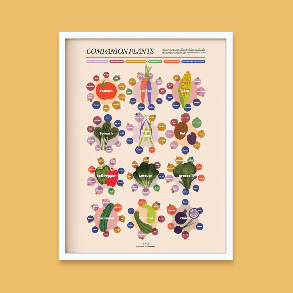 Companion Plants Giclée Print