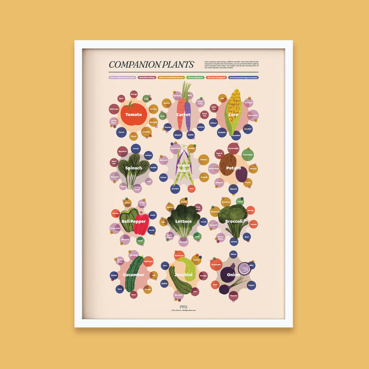 Companion Plants Giclée Print