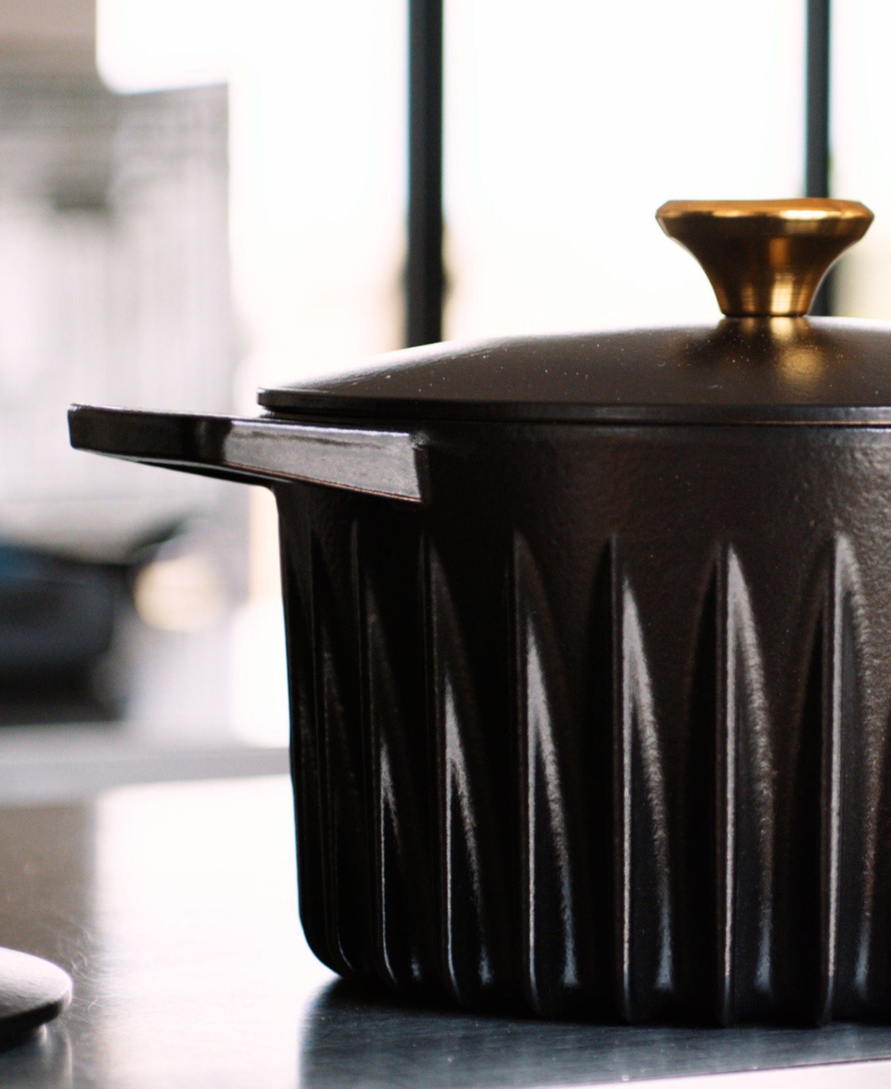 Enameled Cast Iron Dutch Oven