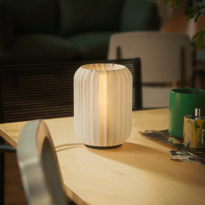 Mini Allium Lamp |  Cordless Edition